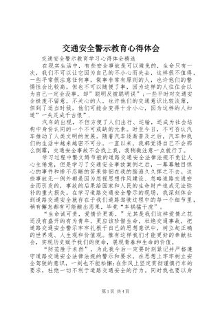 交通安全警示教育心得体会_3
