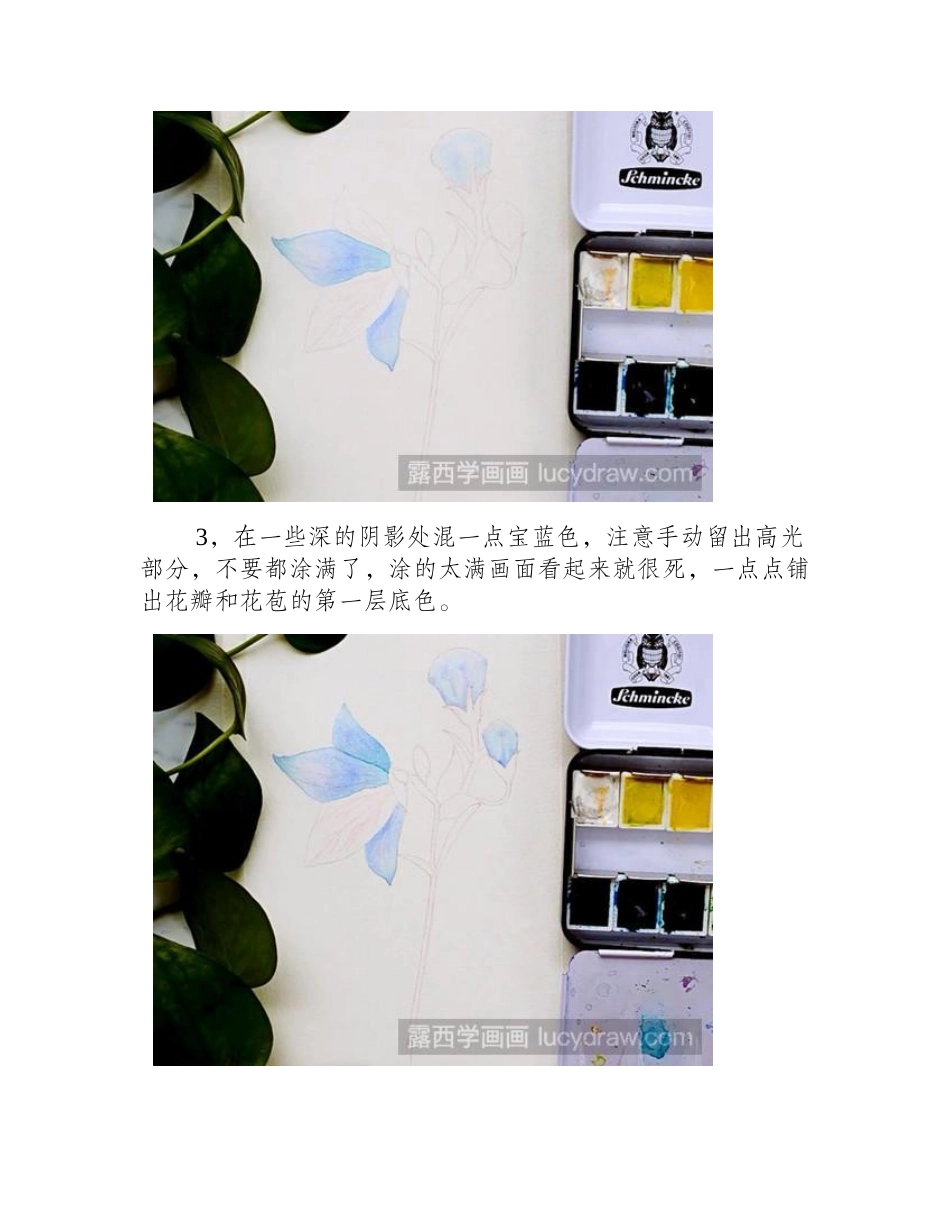 怎么用水彩画桔梗花水彩画教程_第2页