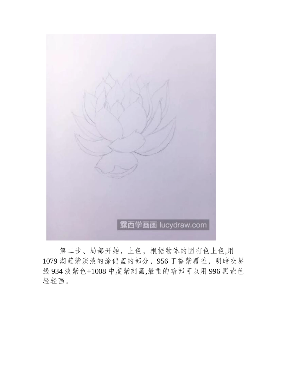 紫珍珠怎么画_纽伦堡珍珠的彩铅步骤有几步_彩铅画教程_第2页