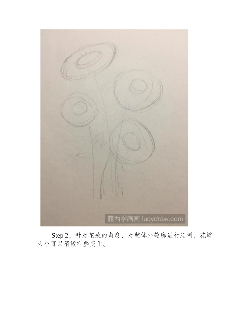 野菊花彩铅画教程彩铅画教程_第2页