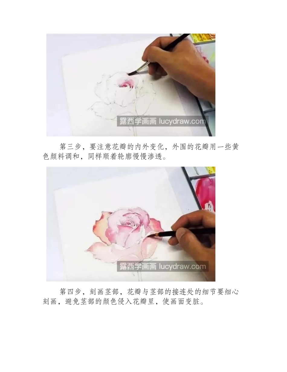 有仙气的玫瑰花怎么画_五步教你画一支粉玫瑰水彩画教程_第2页