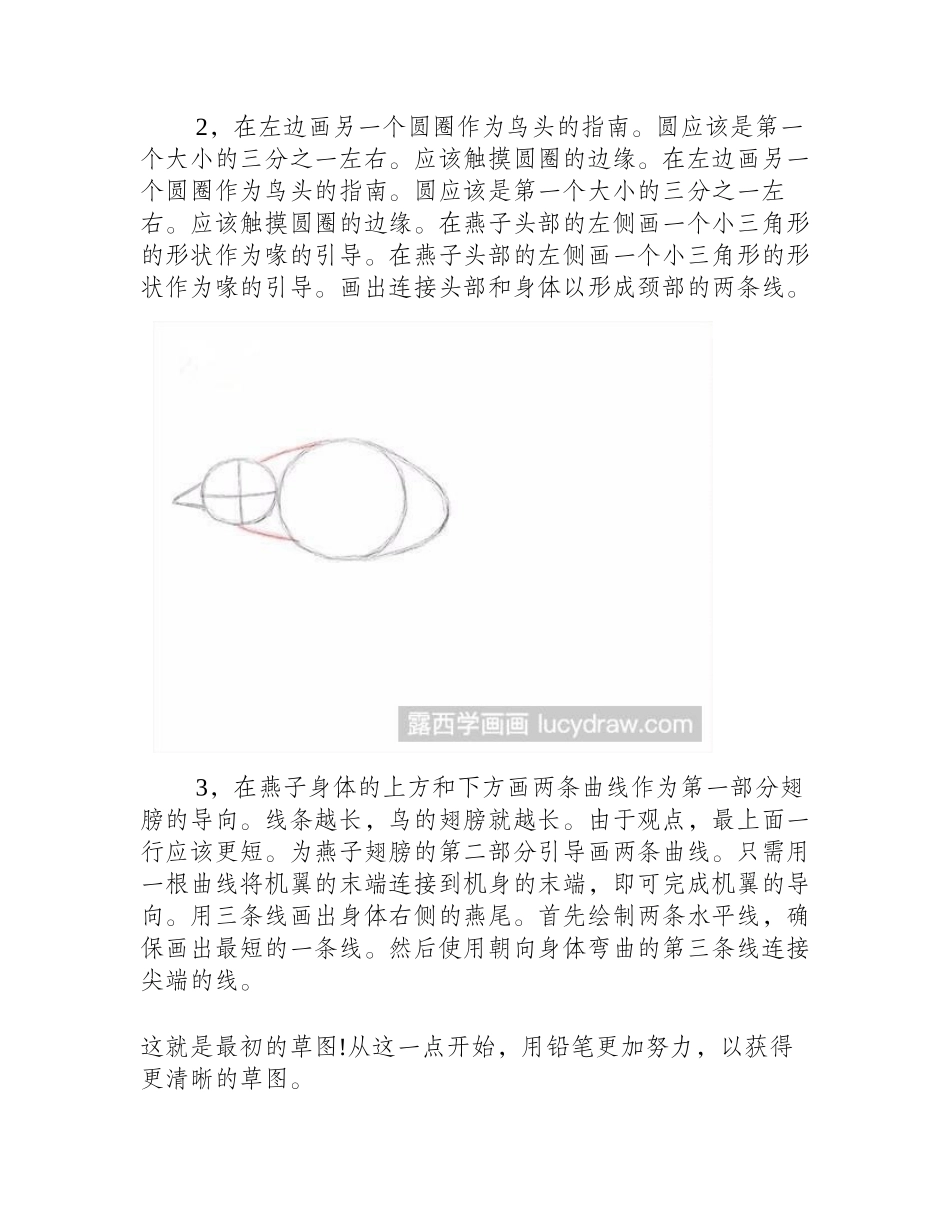 燕子素描教程素描教程_第2页