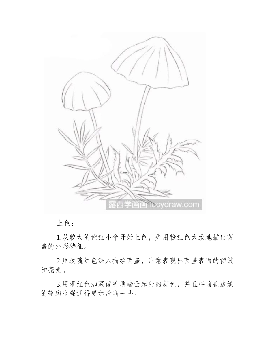 紫红小皮伞彩铅画教程彩铅画教程_第2页
