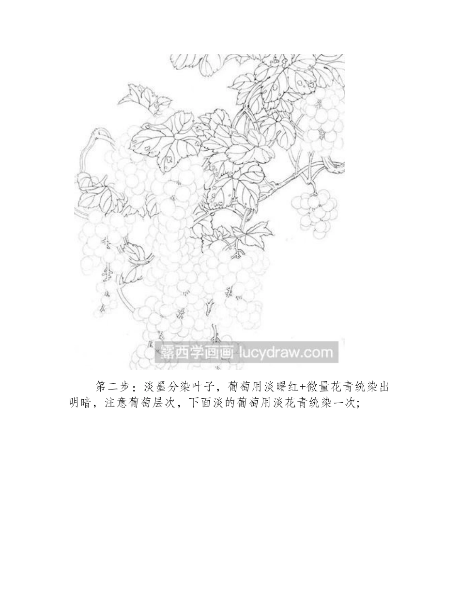 怎么画工笔画葡萄工笔画教程_第2页