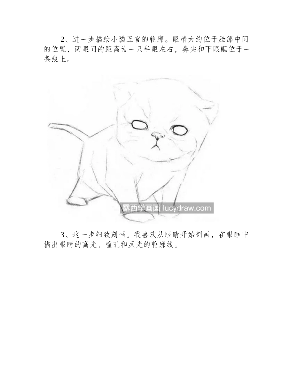 小猫咪怎么画_乖巧的小猫图文步骤有哪些_素描教程_第2页