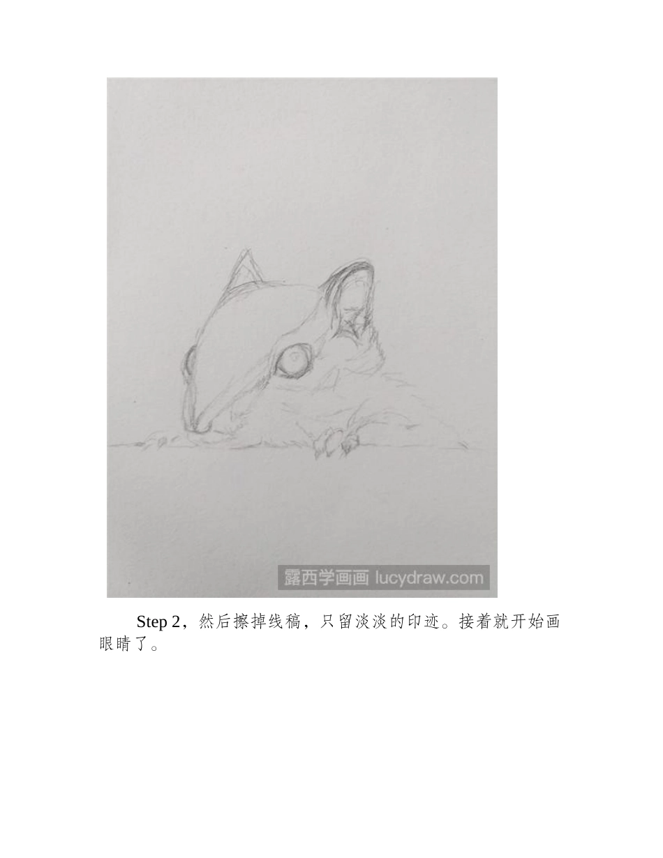 怎么用圆珠笔画松鼠钢笔画教程_第2页