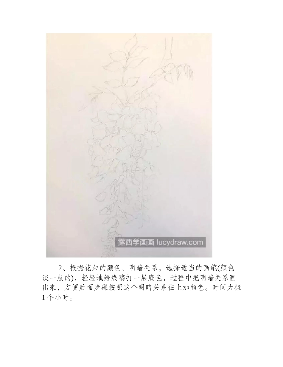 紫藤花怎么画_有哪些绘画步骤_彩铅画教程_第2页