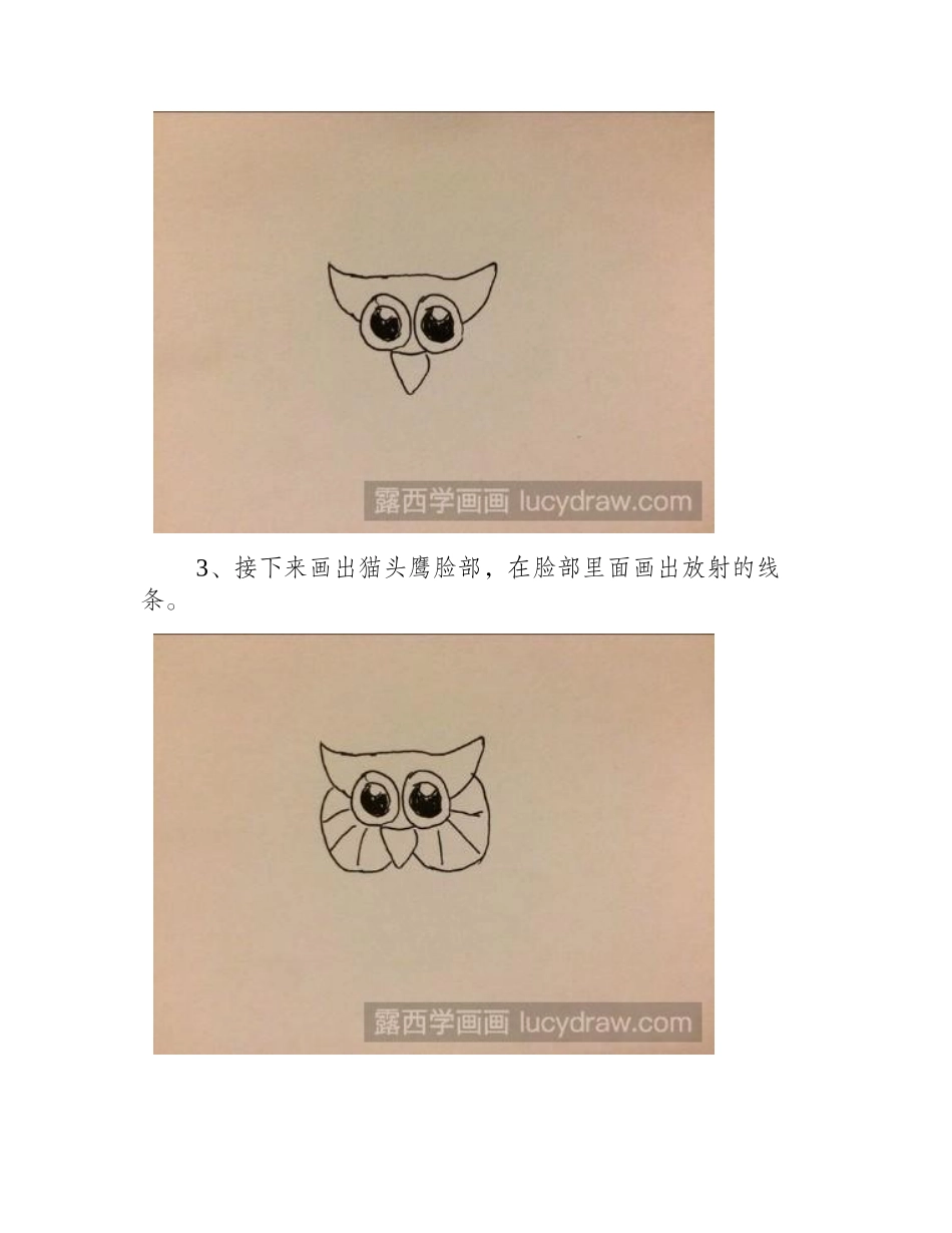 怎样画猫头鹰儿童画儿童画教程_第2页