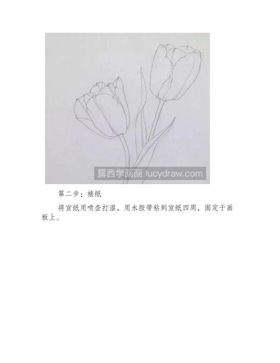 怎么画工笔画郁金香工笔画教程_第2页