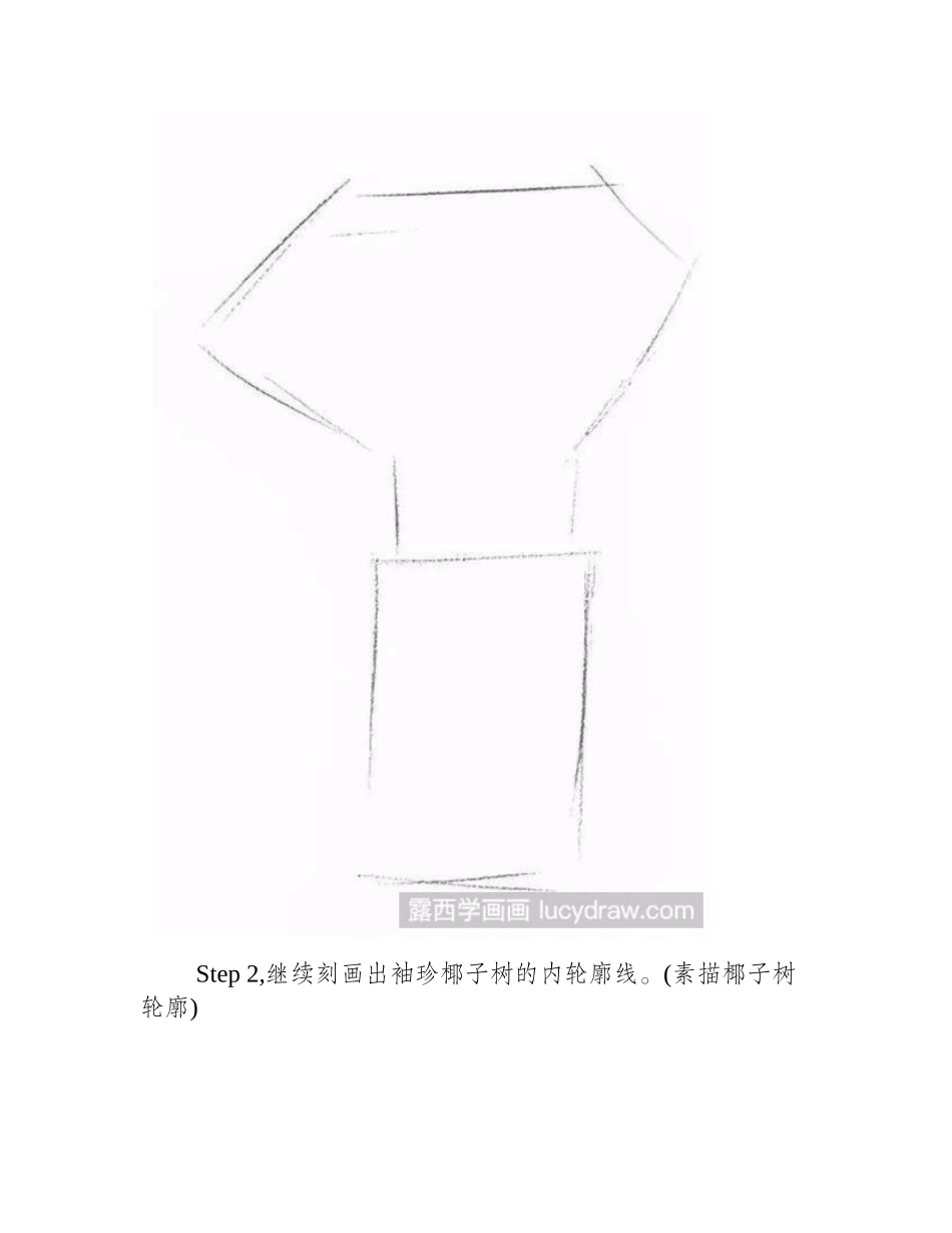袖珍椰子树素描教程素描教程_第2页