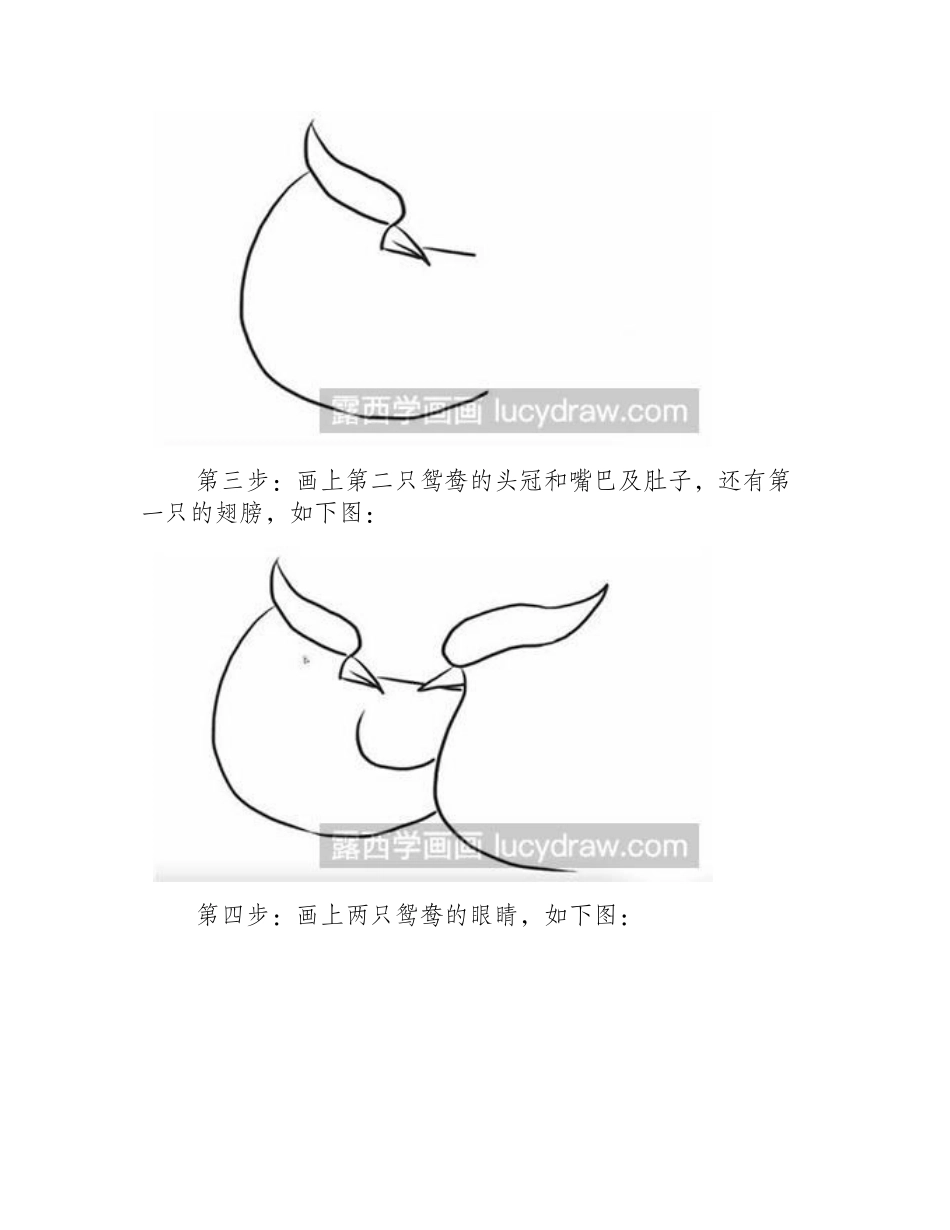怎么画鸳鸯简笔画教程_第2页