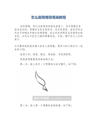 怎么画鸳鸯简笔画教程