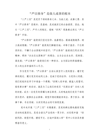 严以修身专题研讨发言材料 
