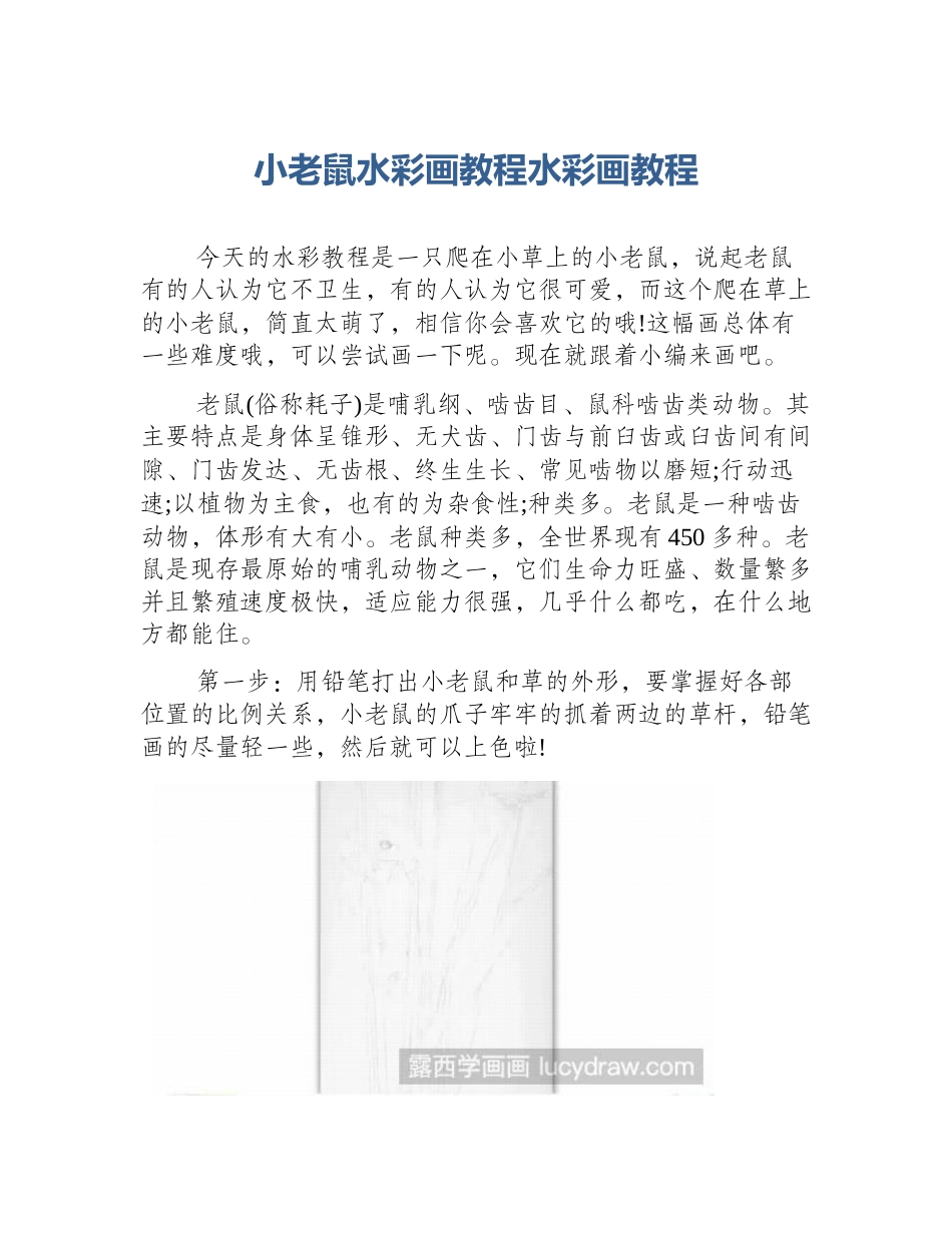 小老鼠水彩画教程水彩画教程_第1页