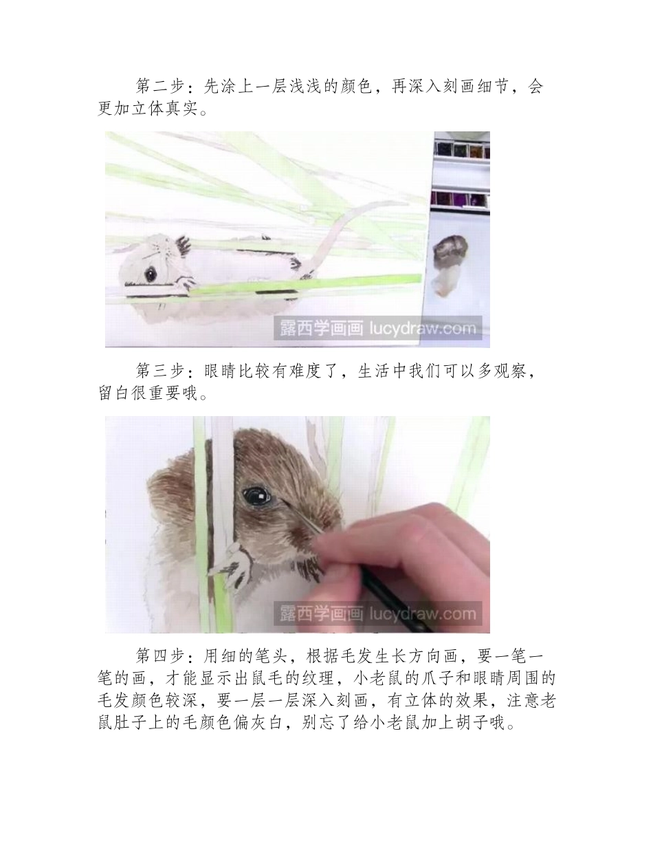 小老鼠水彩画教程水彩画教程_第2页