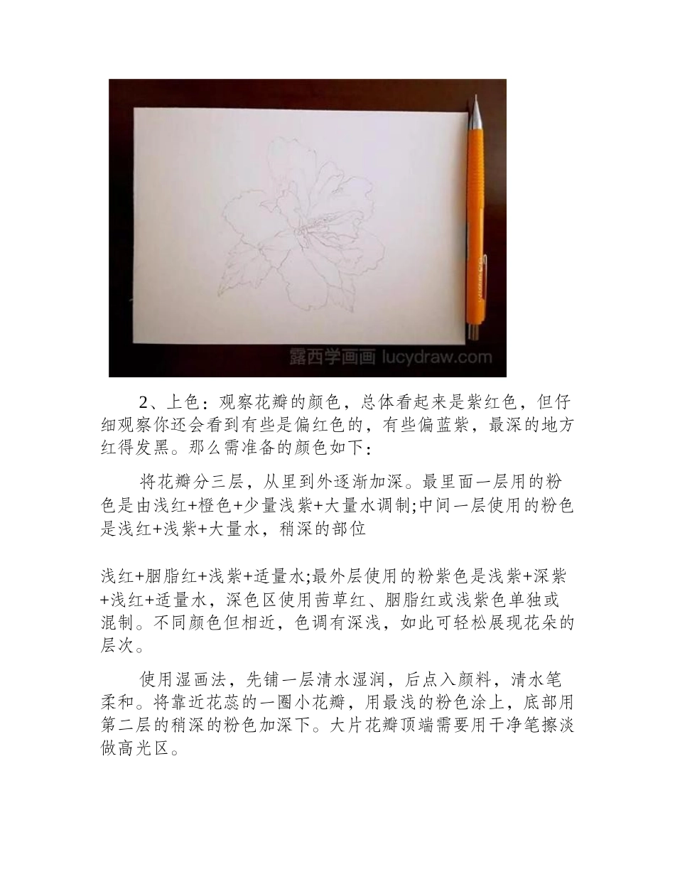 重瓣木槿花水彩画教程水彩画教程1_第2页