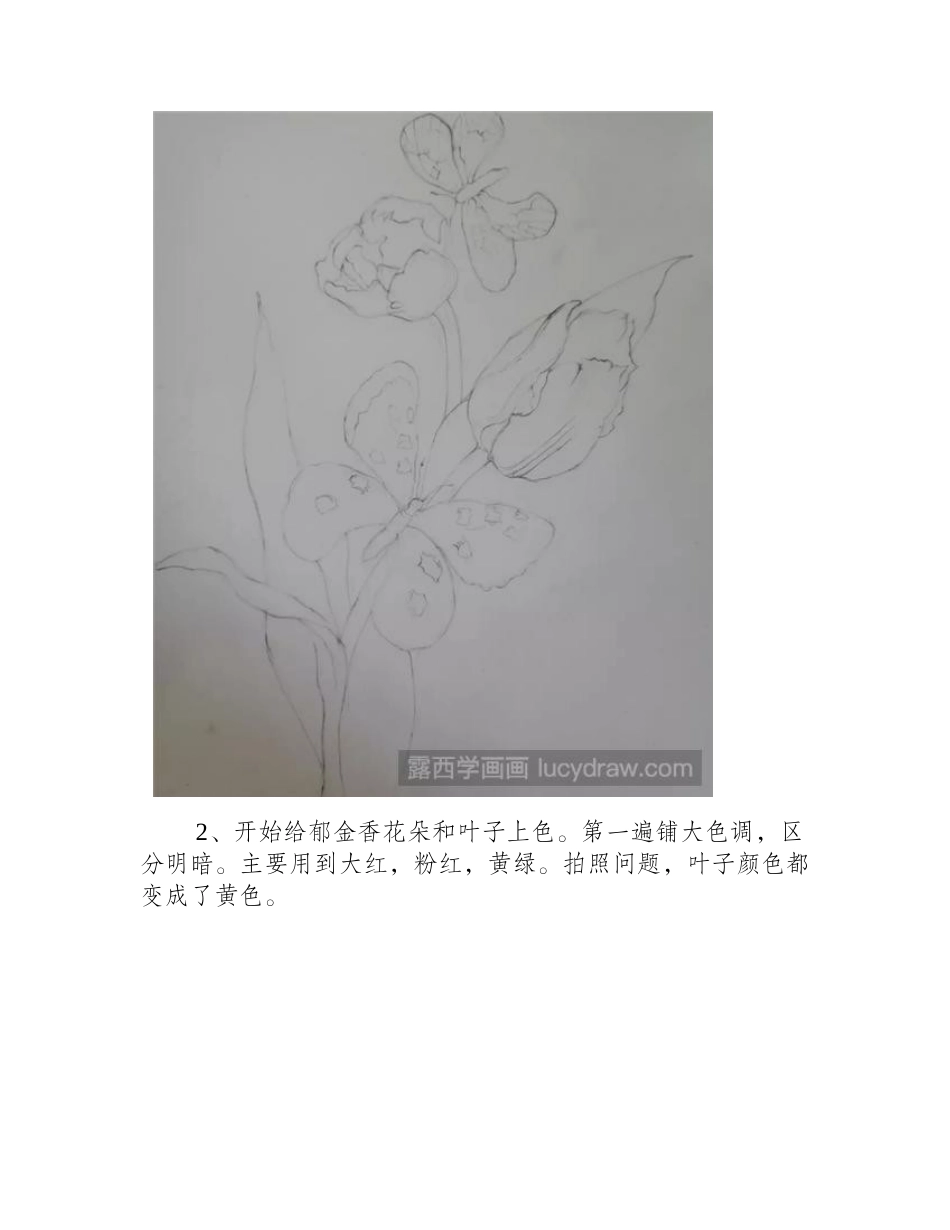 郁金香上的蝴蝶怎么画_彩铅郁金香绘画步骤彩铅画教程_第2页