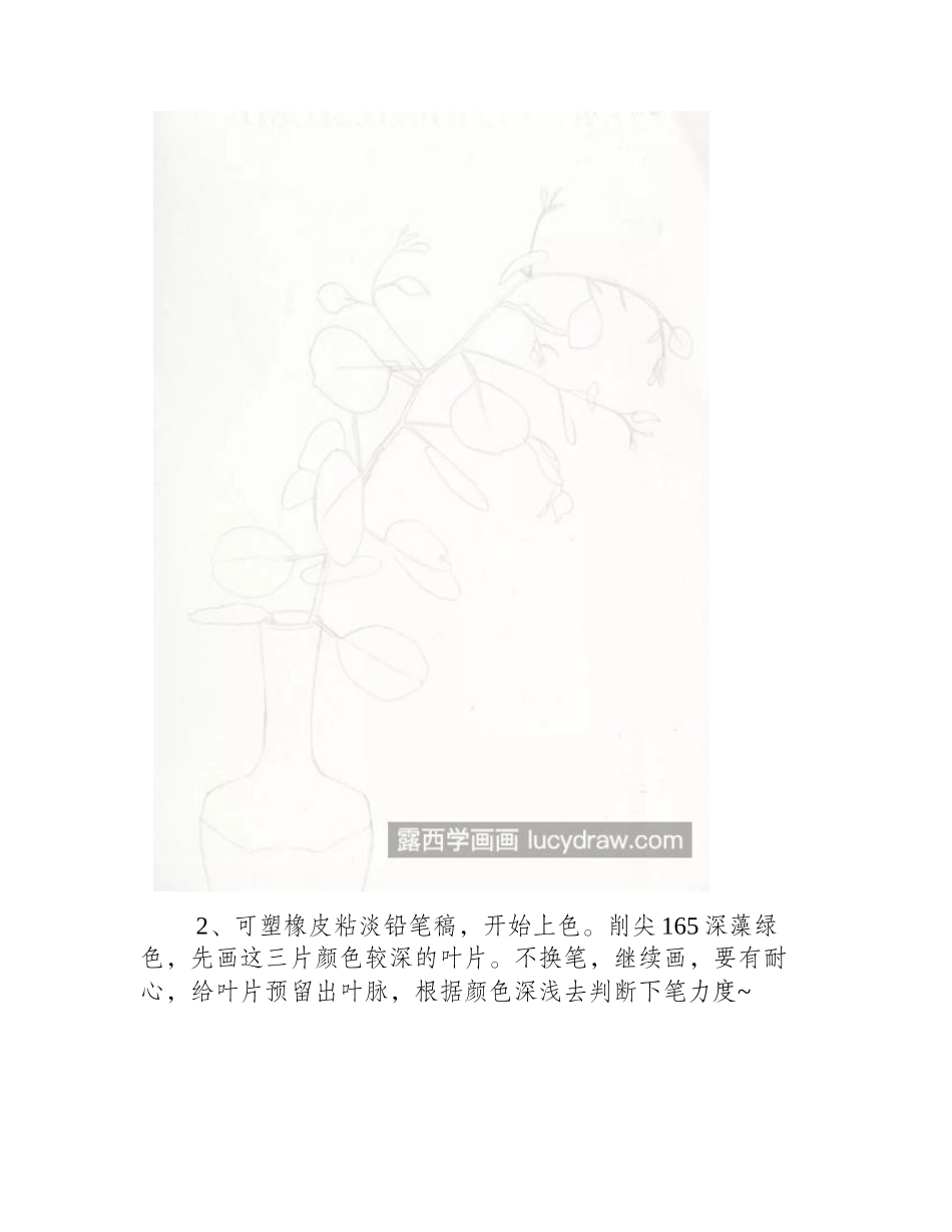 尤加利叶怎么画_详细的绘画流程是什么_彩铅画教程_第2页