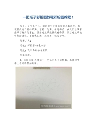 一把瓜子彩铅画教程彩铅画教程1