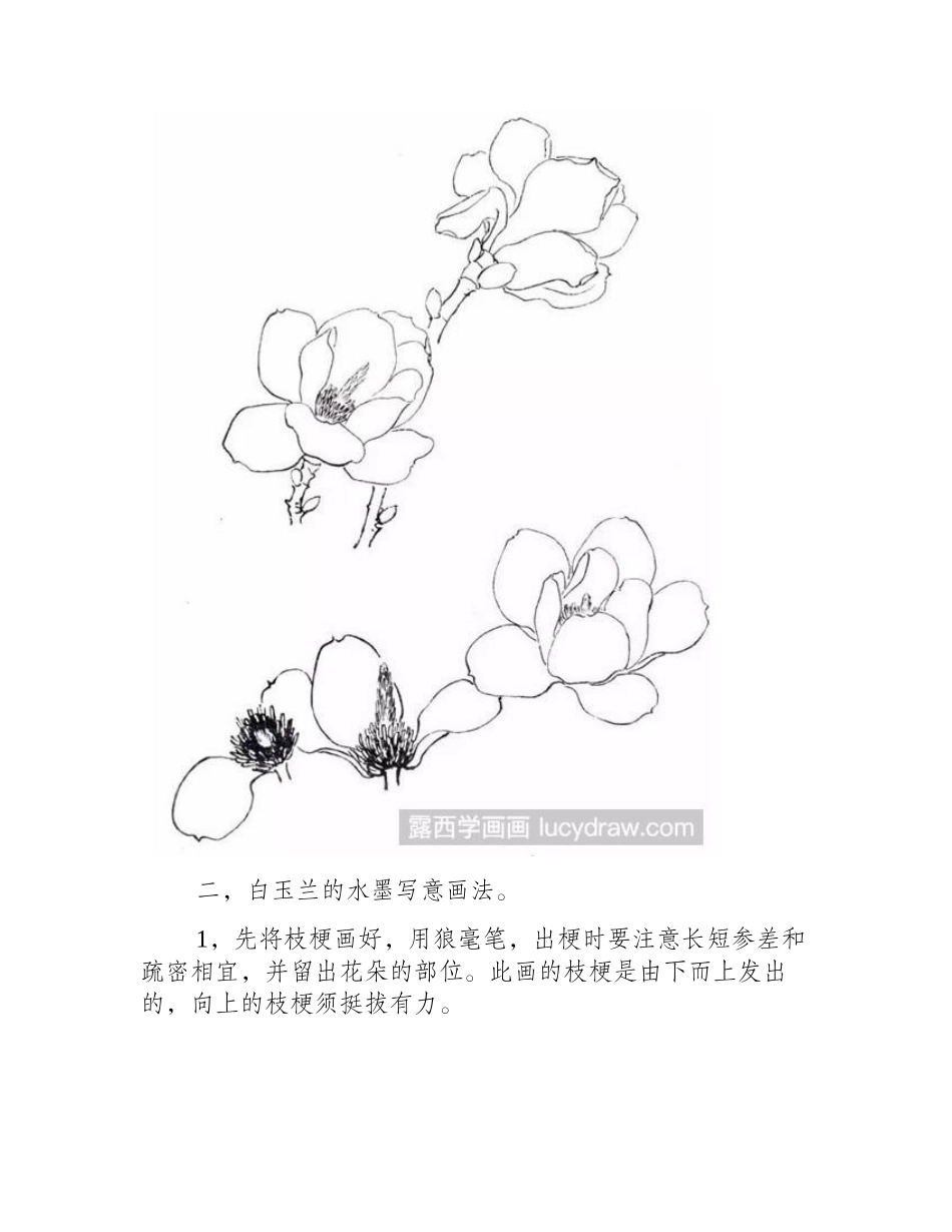 玉兰花国画教程国画教程_第2页