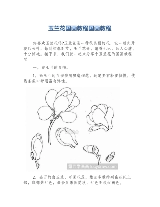玉兰花国画教程国画教程