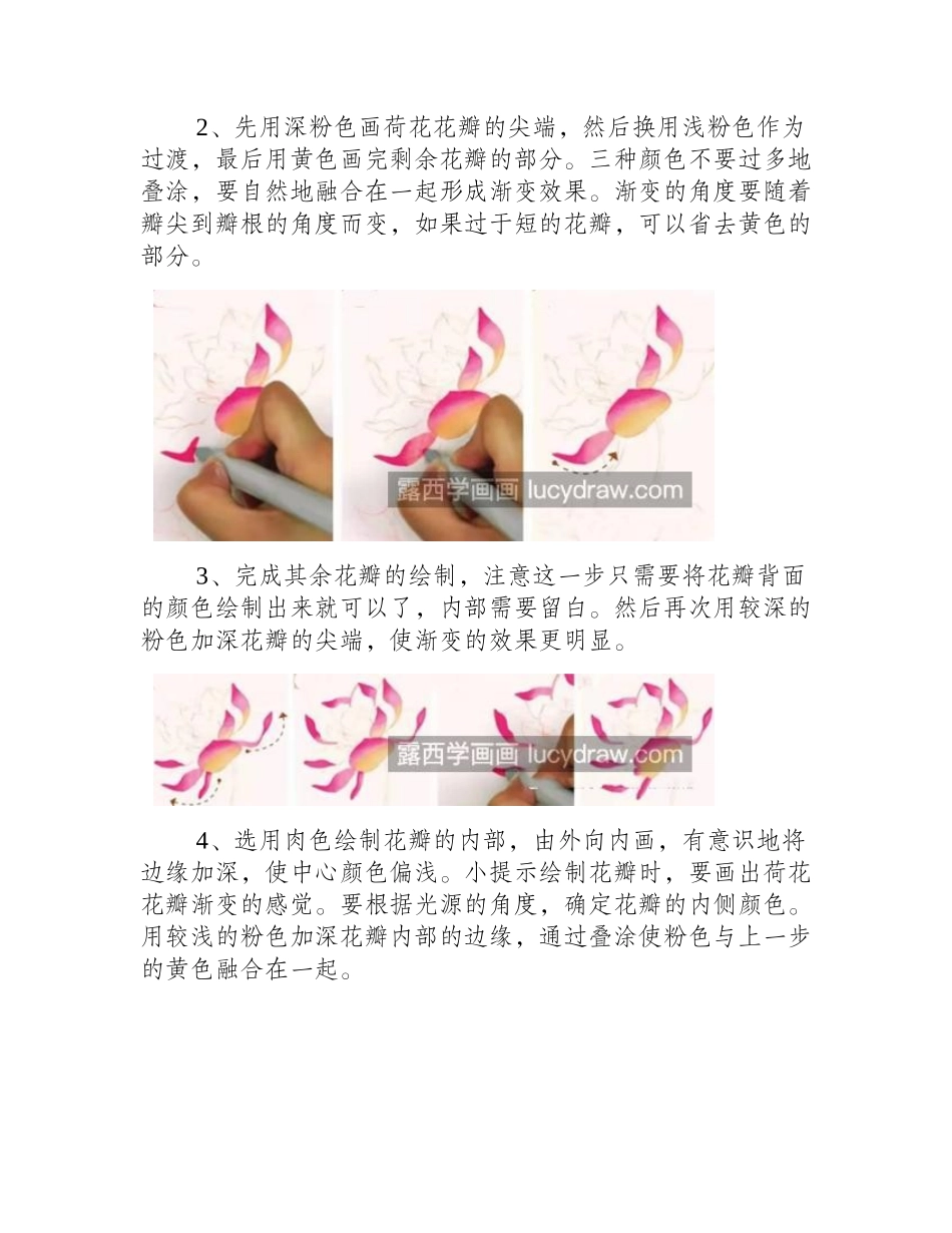 怎么画荷花_有哪些儿童绘画步骤_儿童画教程_第2页