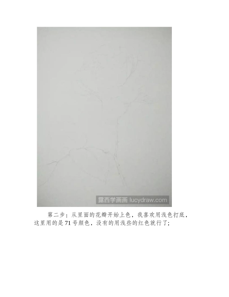 月季水彩画教程水彩画教程_第2页
