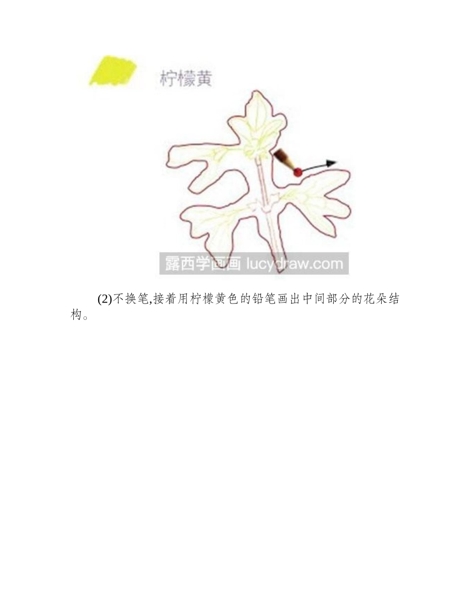怎么画彩铅黄色迎春花彩铅画教程_第2页