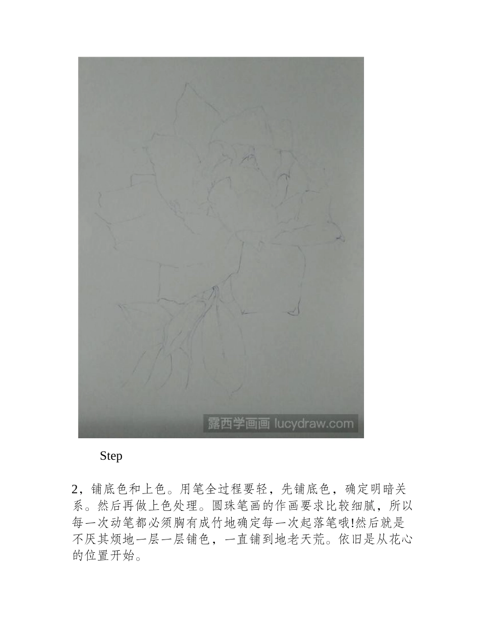 怎么用圆珠笔画玫瑰花钢笔画教程_第2页