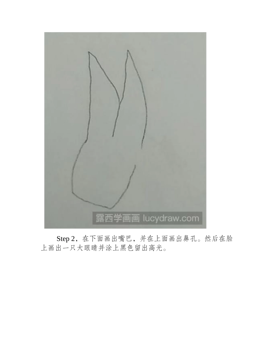 小毛驴简笔画教程简笔画教程1_第2页