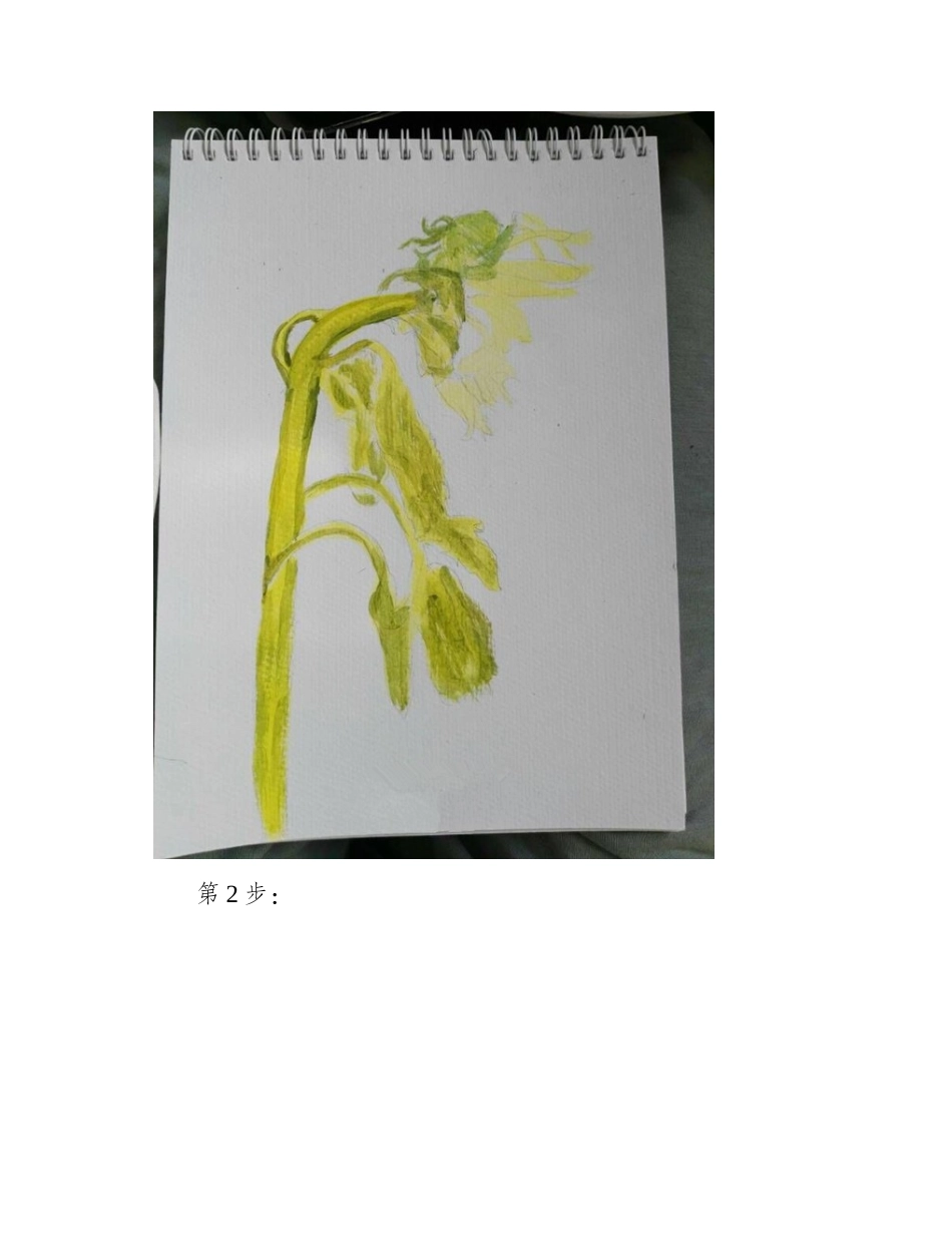 用丙烯画向日葵的教程丙烯画教程_第2页
