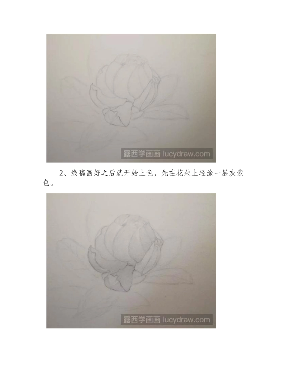栀子花水彩画怎么画_水彩栀子花的步骤有哪些_水彩画教程_第2页