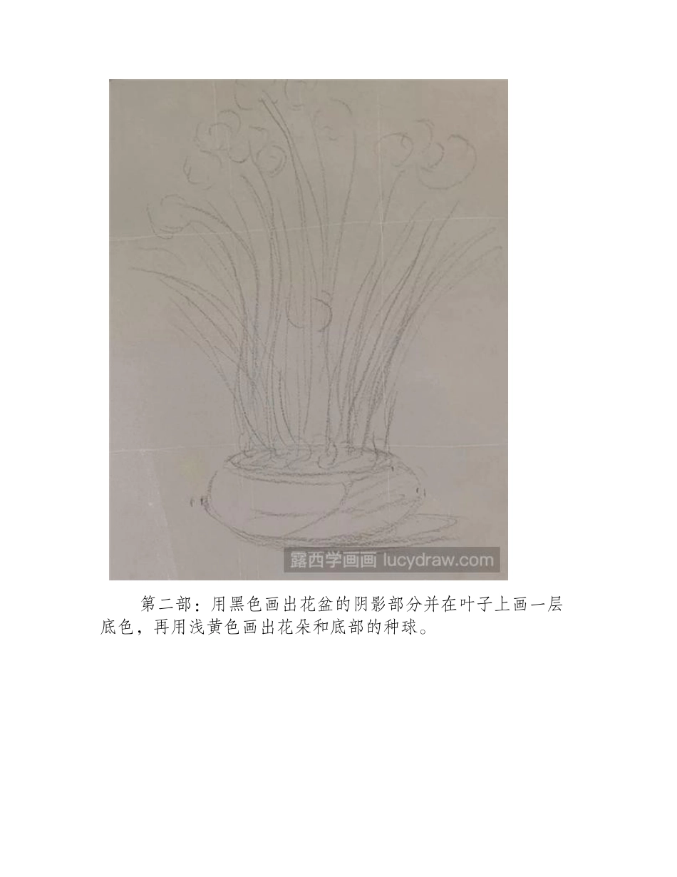 怎么画水仙花_色粉画水仙的步骤是什么_色粉画教程_第2页