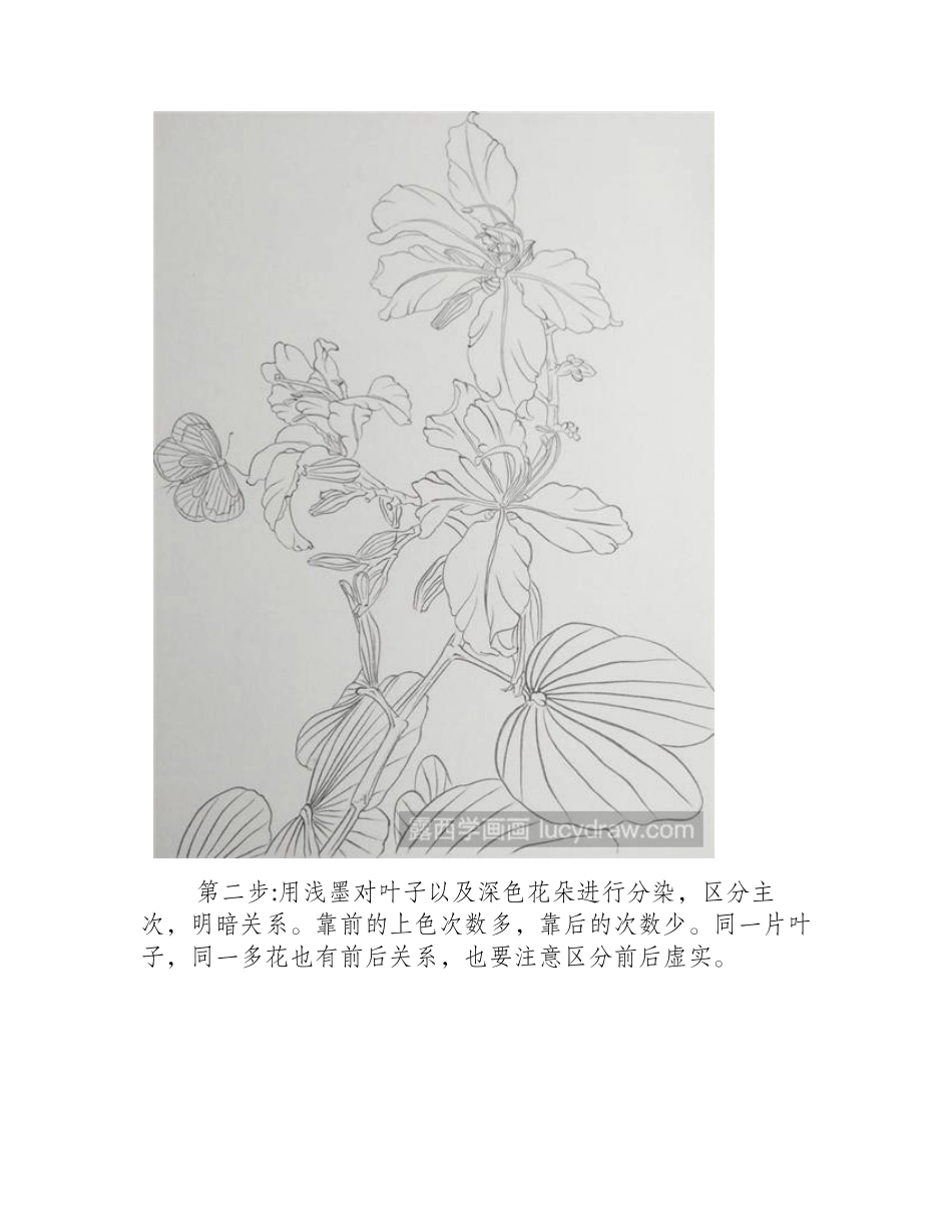 紫荆花工笔画教程工笔画教程_第2页
