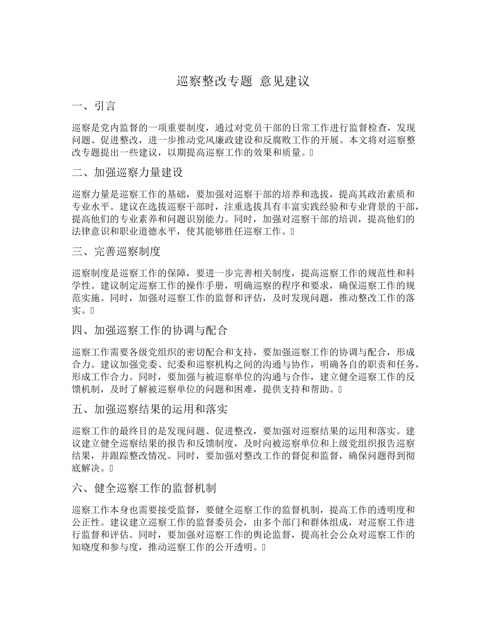 巡察整改专题 意见建议 _第1页