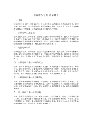 巡察整改专题 意见建议 