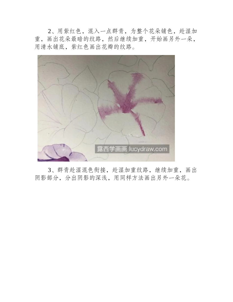 阳光下的牵牛花怎么画_喇叭花的水彩画步骤有哪些_水彩画教程_第2页