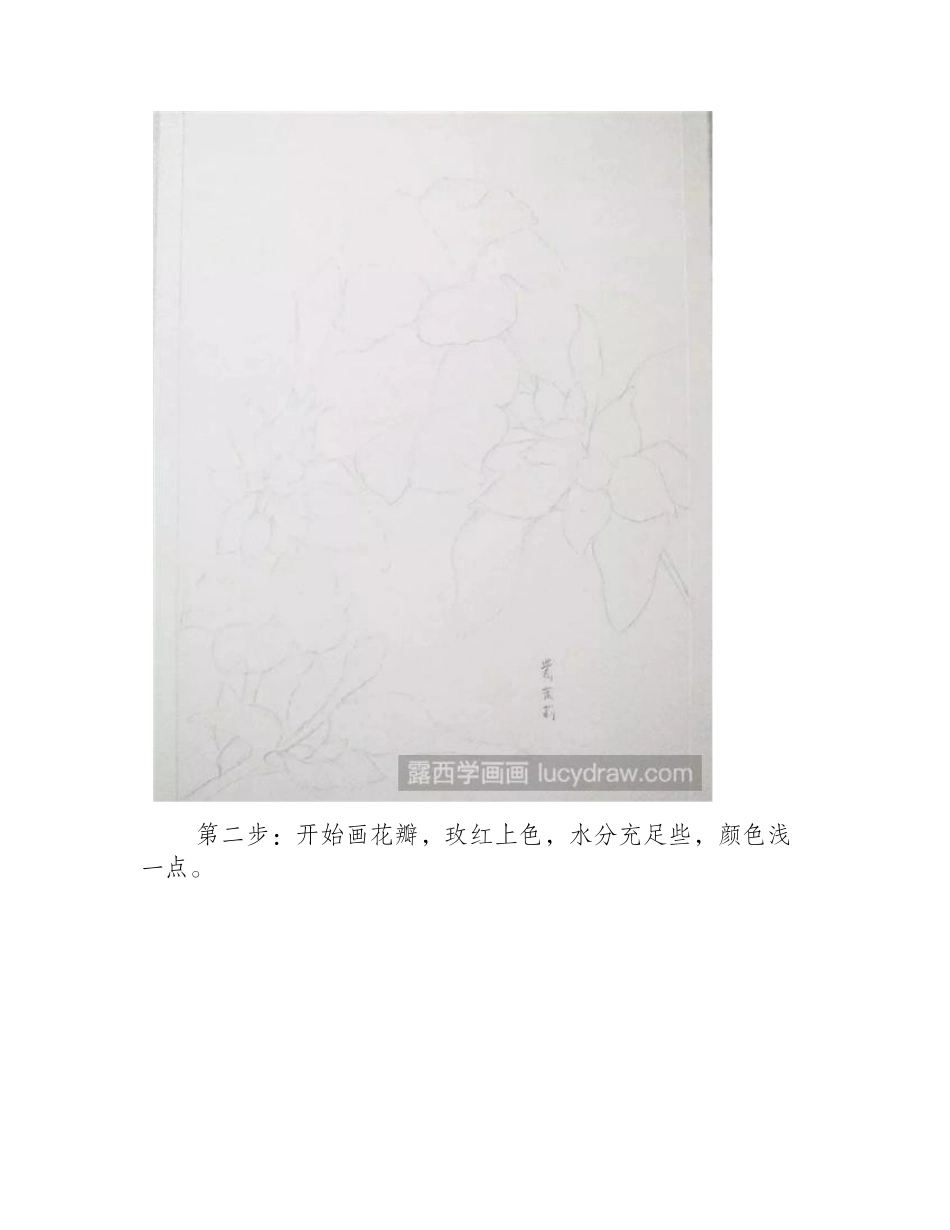 怎么画紫茉莉花_紫茉莉花的水彩画步骤是什么_水彩画教程_第2页