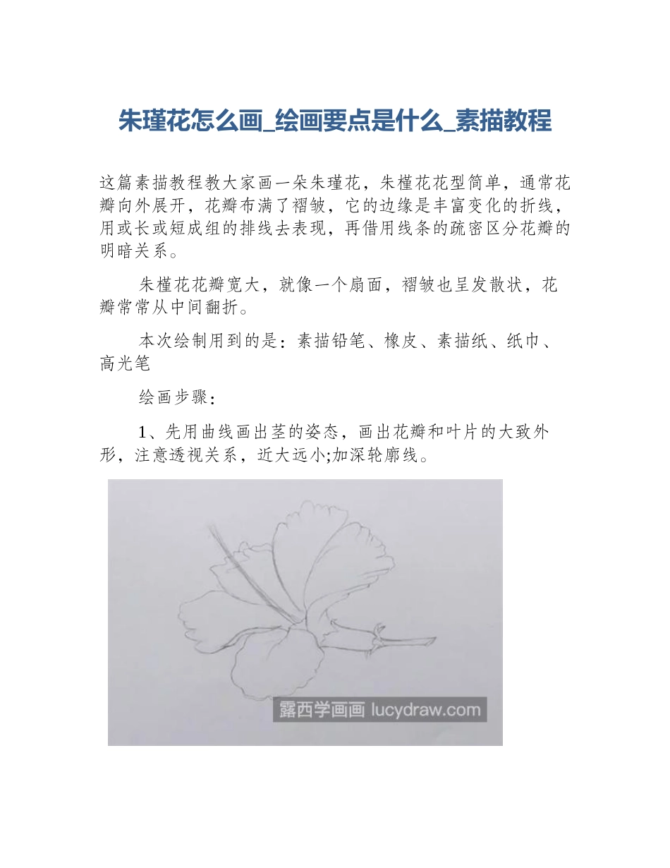 朱瑾花怎么画_绘画要点是什么_素描教程_第1页