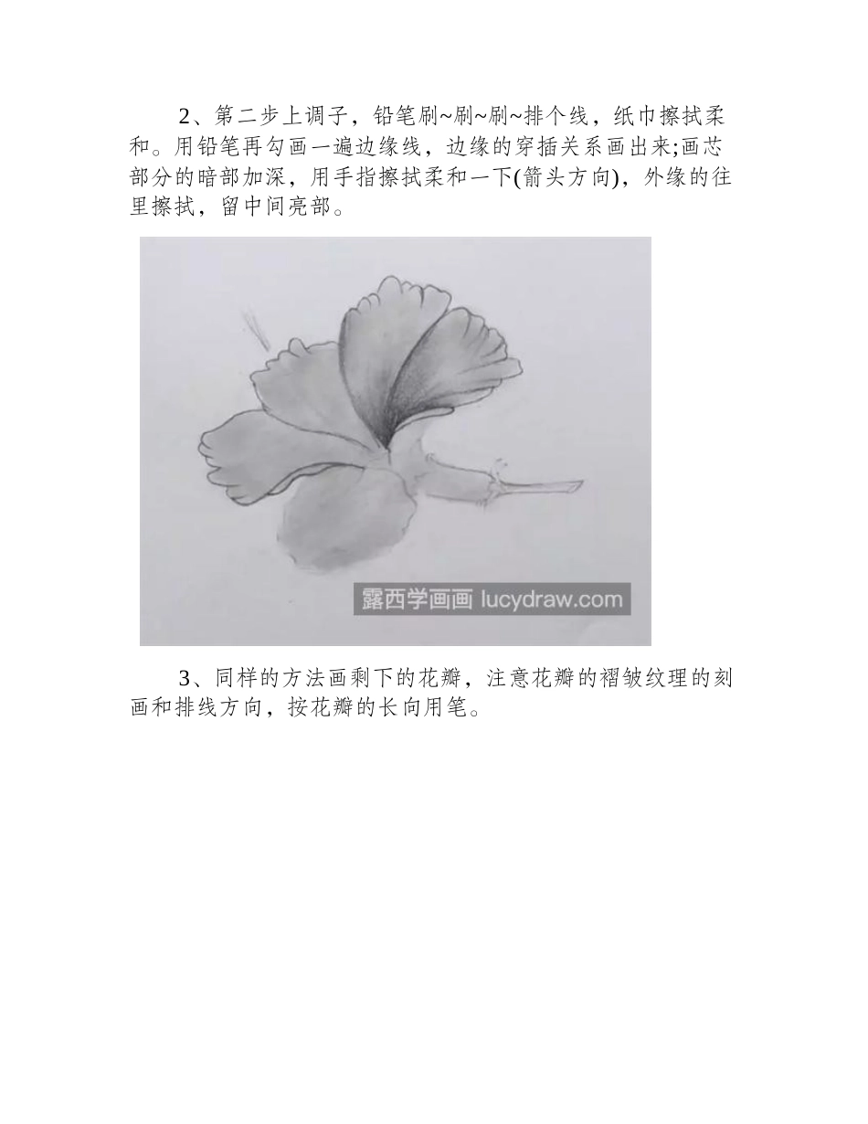 朱瑾花怎么画_绘画要点是什么_素描教程_第2页