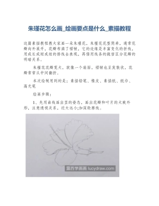 朱瑾花怎么画_绘画要点是什么_素描教程