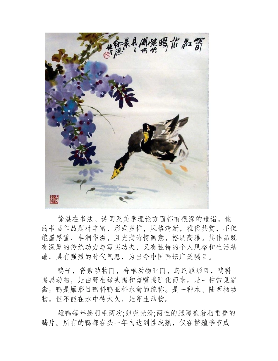 徐湛老师国画鸭子欣赏国画作品1_第2页