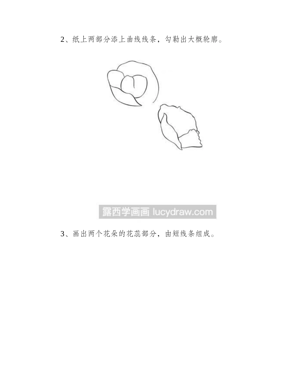 罂粟花简笔画教程简笔画教程7_第2页