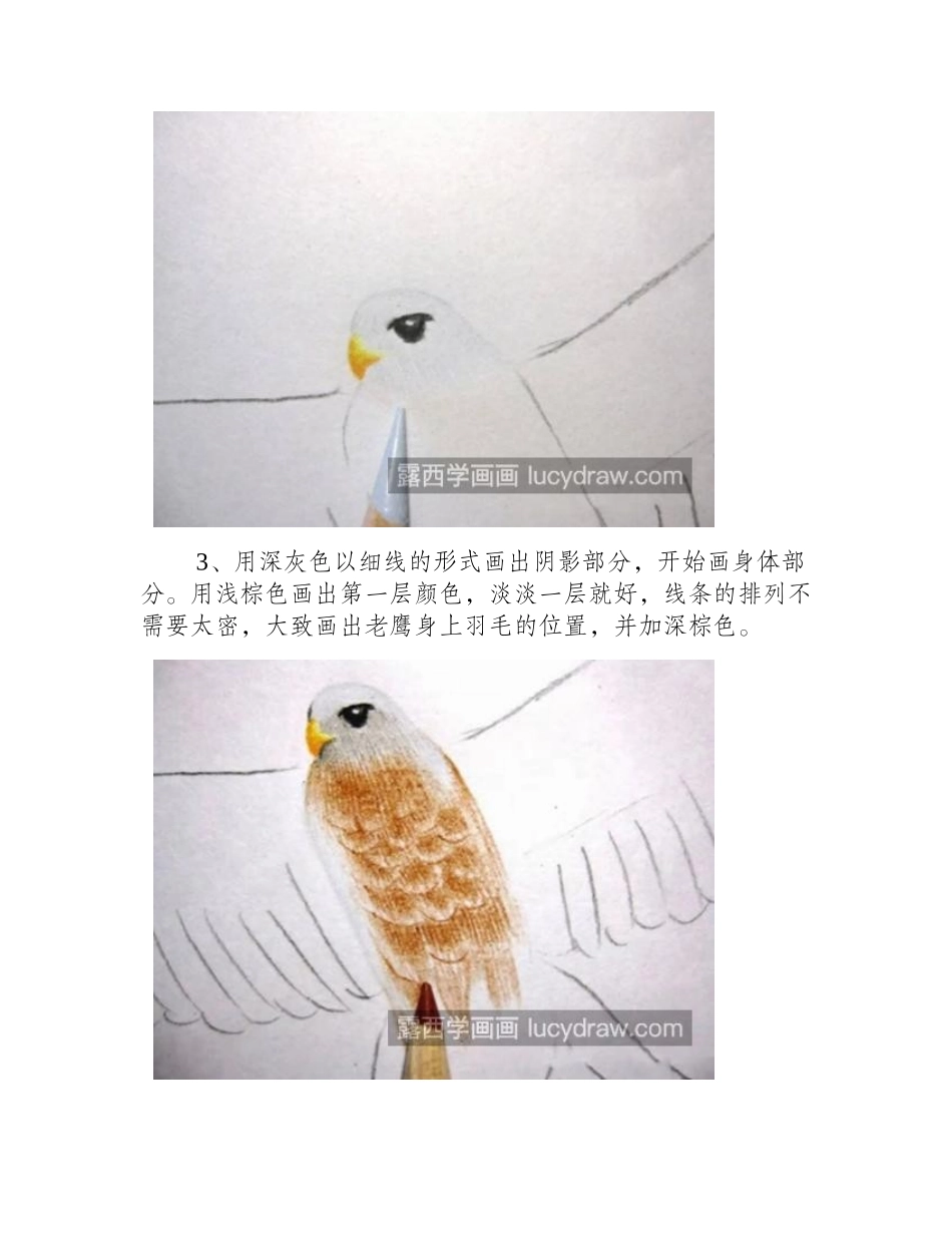 展翅的老鹰怎么画_绘画流程是什么_儿童画教程_第2页