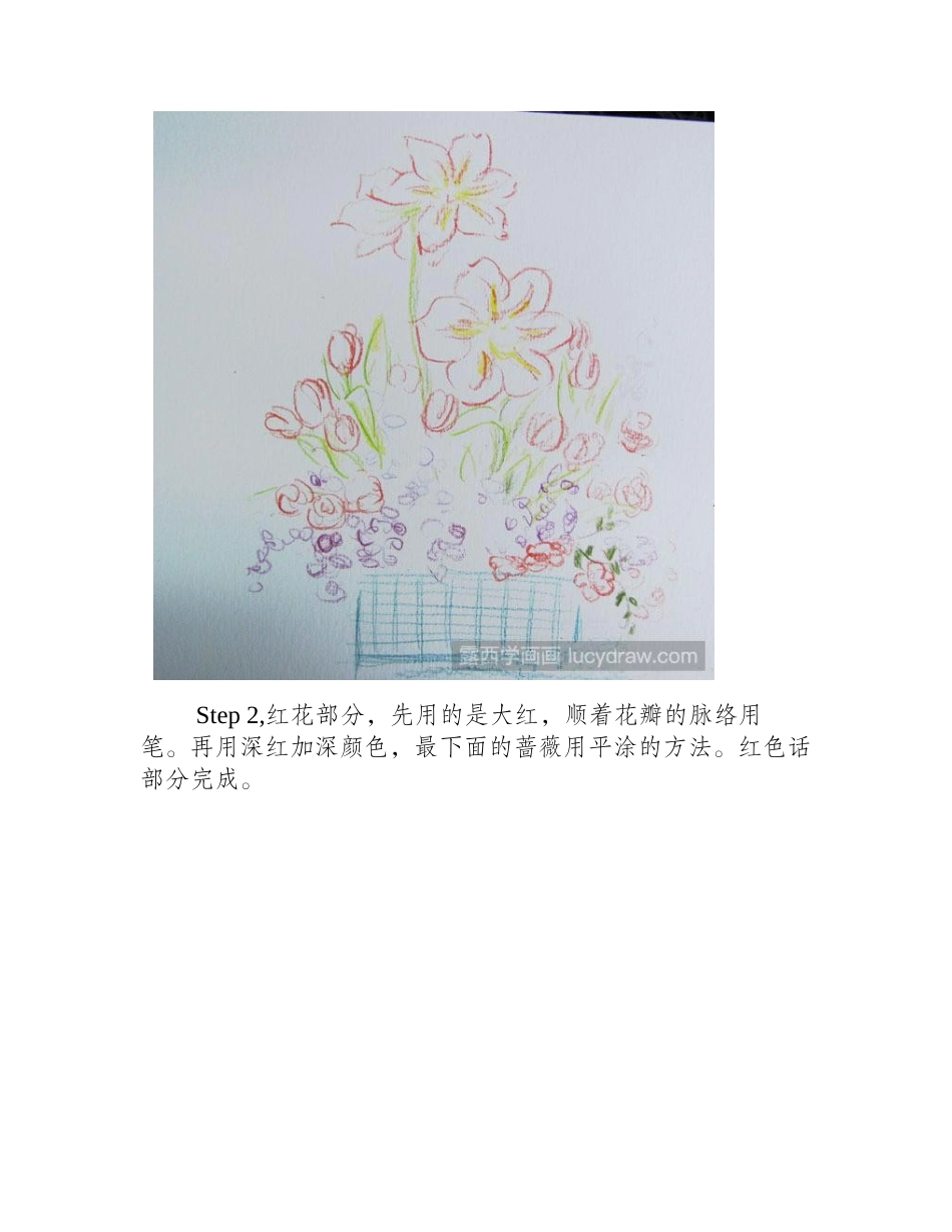 一盆蔷薇花插画教程插画教程_第2页