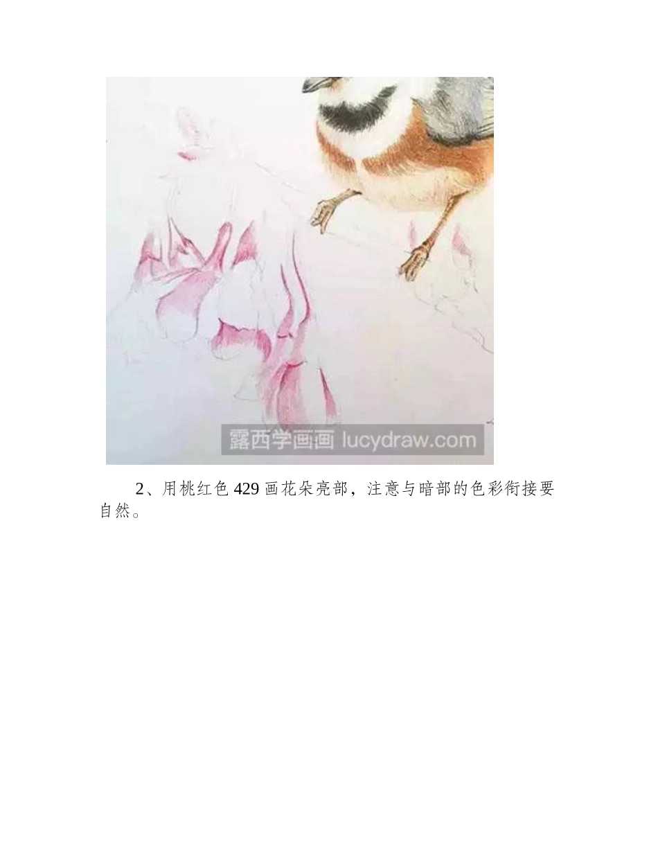 怎么绘制红头长尾山雀配景彩铅画教程_第2页