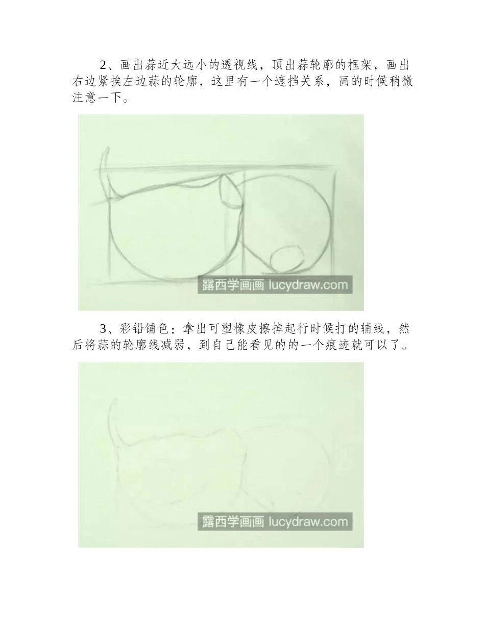 重瓣蒜怎么画_有哪些绘画步骤_彩铅画教程_第2页