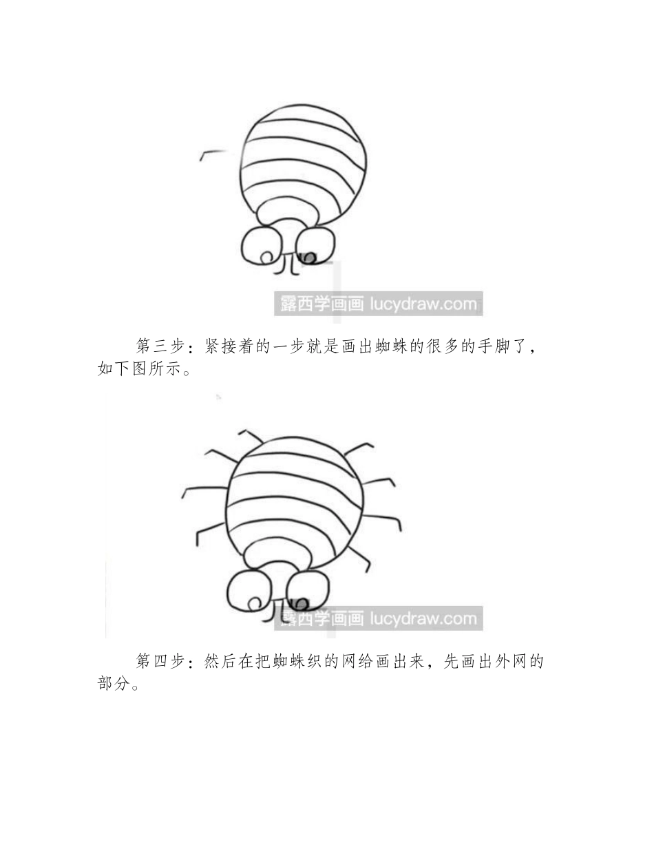 蜘蛛简笔画教程简笔画教程_第2页