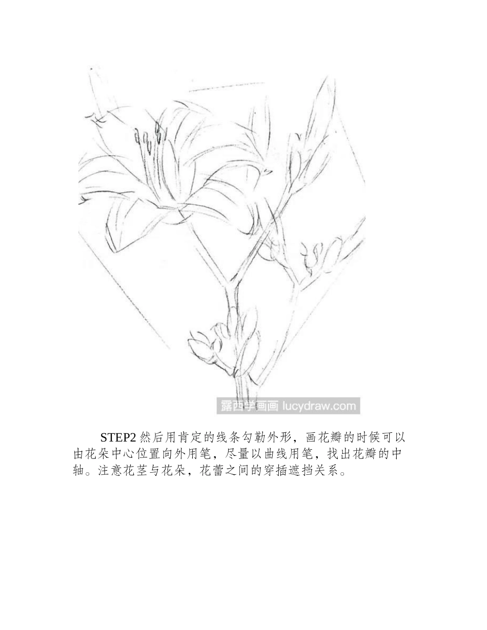 萱草彩铅画教程彩铅画教程_第2页