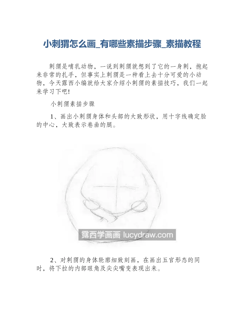 小刺猬怎么画_有哪些素描步骤_素描教程_第1页